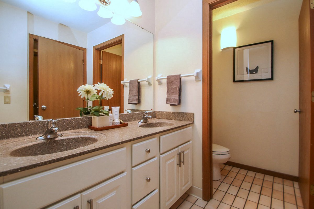 Photos and Video of LaVille in Madison, WI